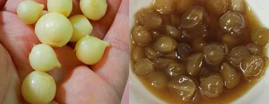 Bài thuốc chữa mọi loại ho cho trẻ từ củ nén và mật ong