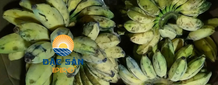 Cách luộc chuối sáp ngon, vị thanh dẻo thơm
