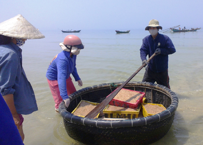 Ruốc vừa được dã cào vớt lên và đưa vào bờ bằng thuyền thúng
