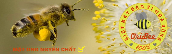 Đam san store, chuyên phân phối các sản phẩm đặc sản vùng miền, tây nguyên, miền trung, miền tây, miền bắc và đặc sản ngoài việt nam