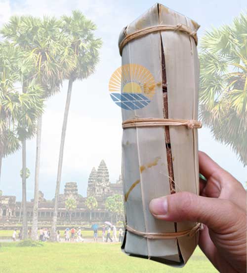 Đường Thốt Nốt Campuchia