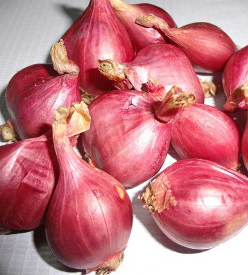 Hành tím Lý Sơn - Đặc Sản Quảng Ngãi