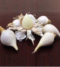 Tỏi Cô Đơn - Lý Sơn Quảng Ngãi