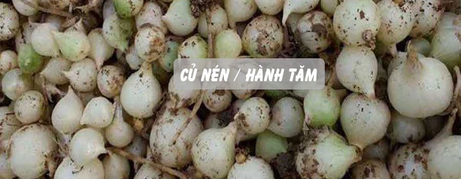 Gia vị củ nén của người dân xứ Quảng