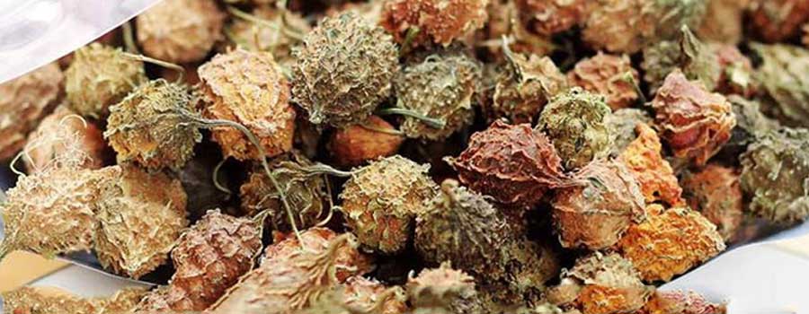 4 món đặc sản ở Kon Tum ngon không đâu có, mua về làm quà cực ý nghĩa