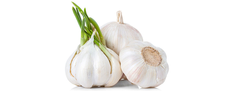 Ăn tỏi mọc mầm có độc không?