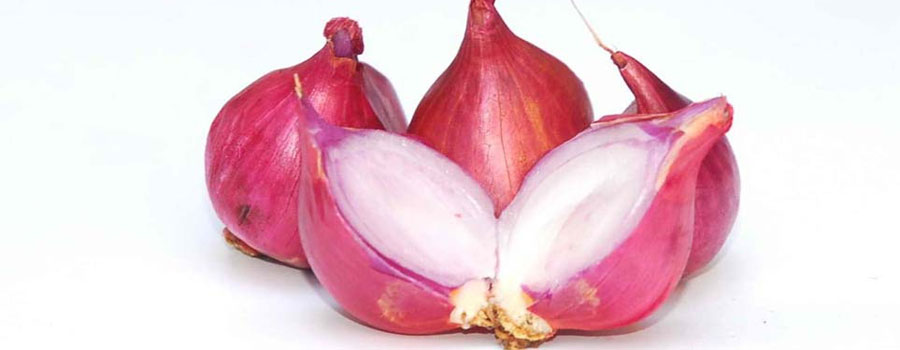 Lợi ích tuyệt vời của hành tím