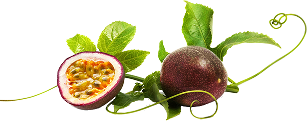 Nước ép chanh dây, Thiên Sơn, Măng Đen, Kon Tum